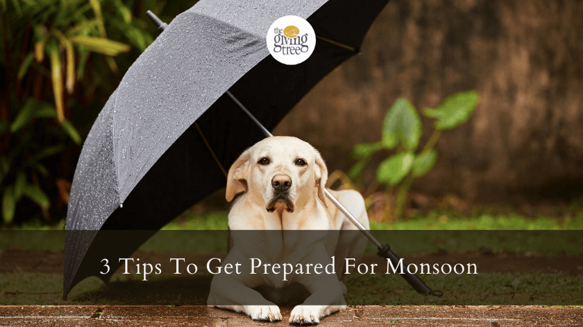 3 Tips To Get Prepared For Monsoon!!!